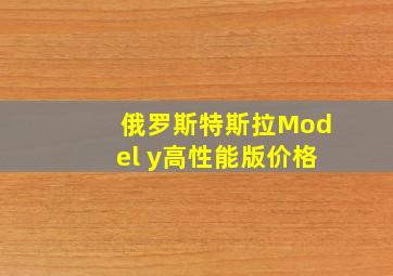 俄罗斯特斯拉Model y高性能版价格